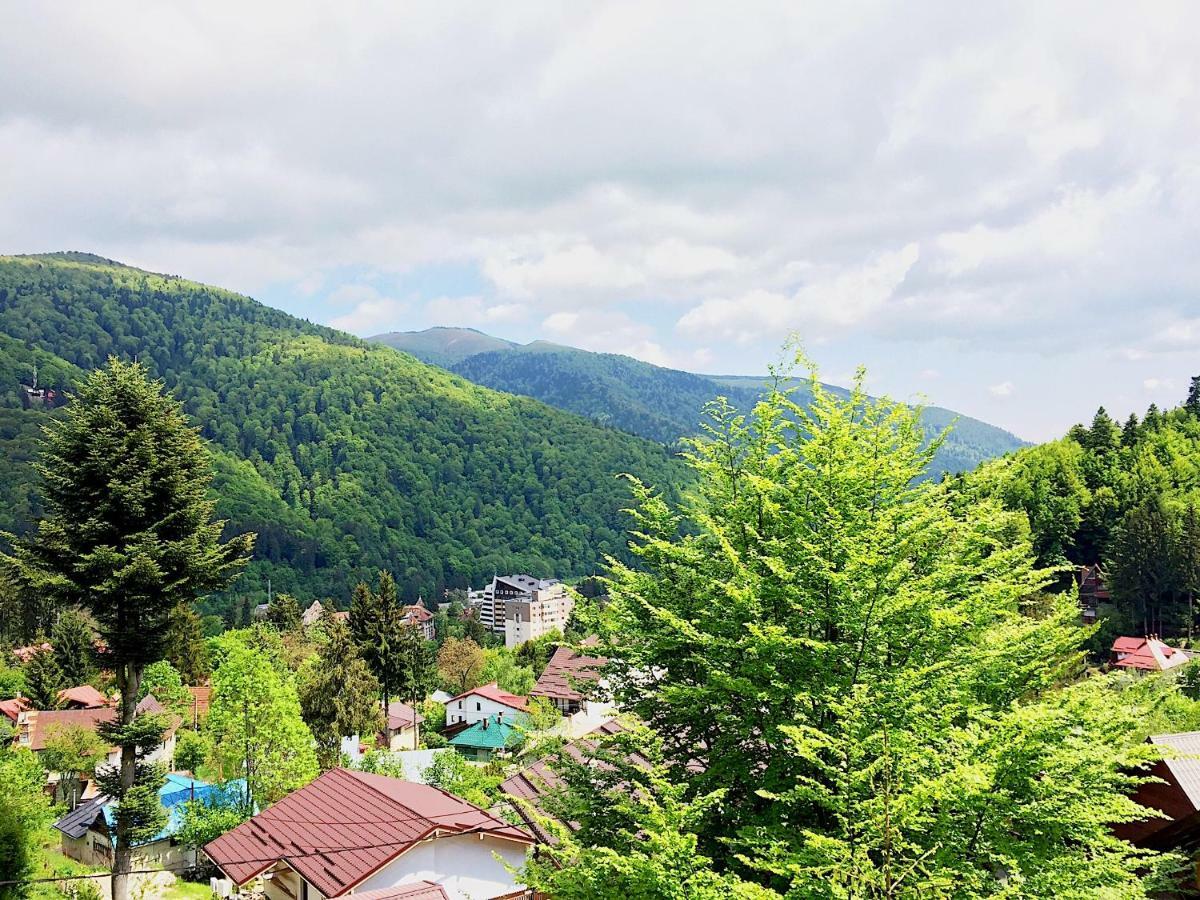 Casa Miu Villa Sinaia Luaran gambar