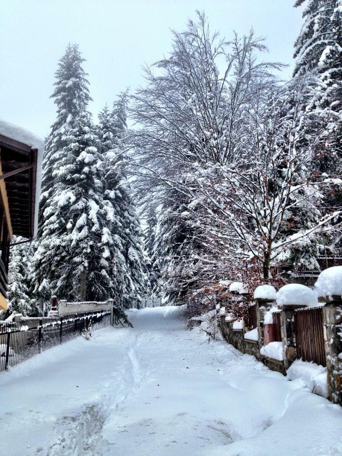 Casa Miu Villa Sinaia Luaran gambar